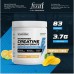 Wellcore - Pure Micronised Creatine Monohydrate (307g, 83Servings) Tropical Tango